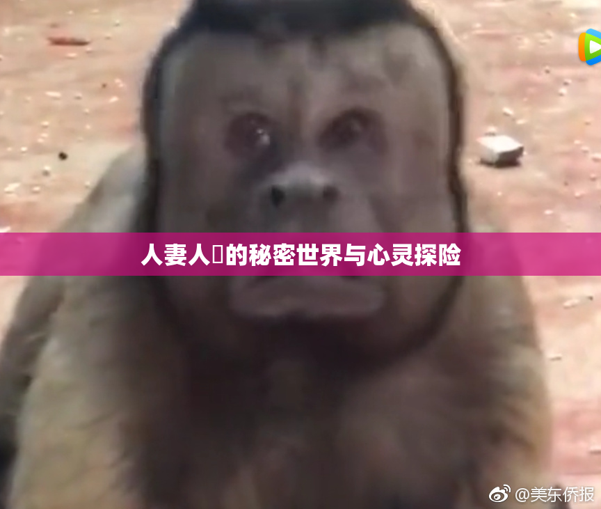 人妻人陰的秘密世界与心灵探险