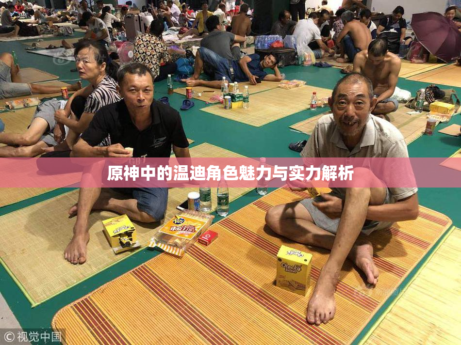 原神中的温迪角色魅力与实力解析