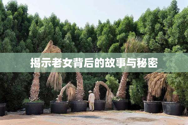 揭示老女背后的故事与秘密