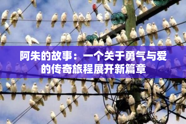 阿朱的故事：一个关于勇气与爱的传奇旅程展开新篇章