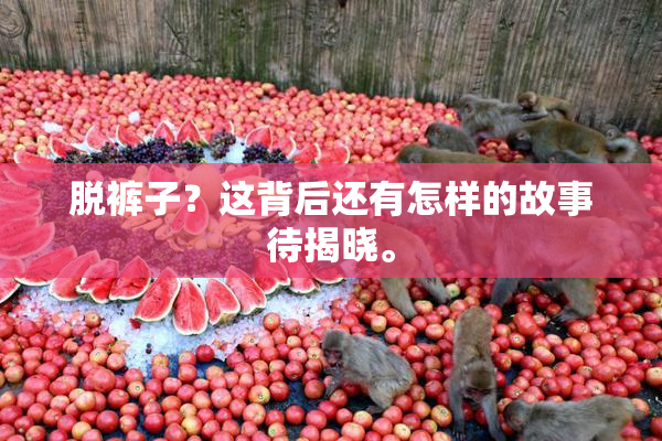 脱裤子？这背后还有怎样的故事待揭晓。