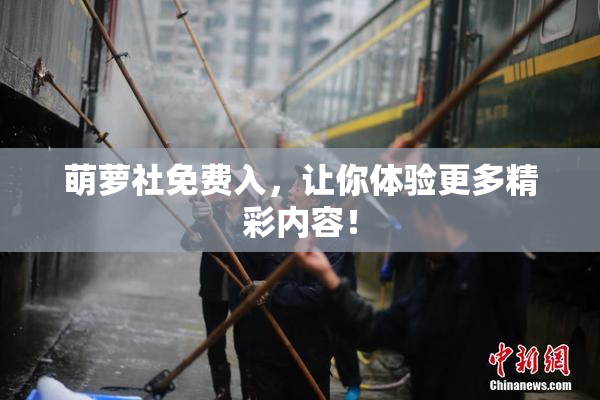萌萝社免费入，让你体验更多精彩内容！