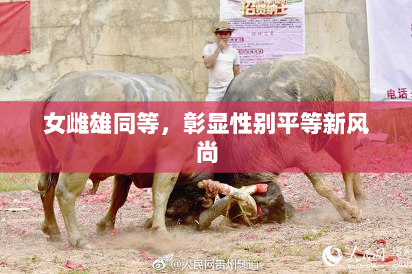 女雌雄同等，彰显性别平等新风尚