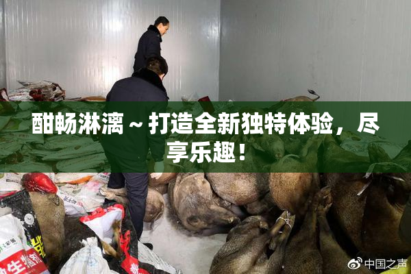 酣畅淋漓～打造全新独特体验，尽享乐趣！
