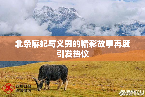 北条麻妃与义男的精彩故事再度引发热议