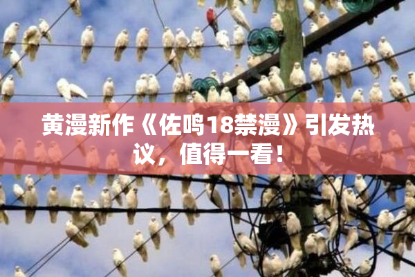 黄漫新作《佐鸣18禁漫》引发热议，值得一看！