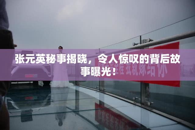 张元英秘事揭晓，令人惊叹的背后故事曝光！