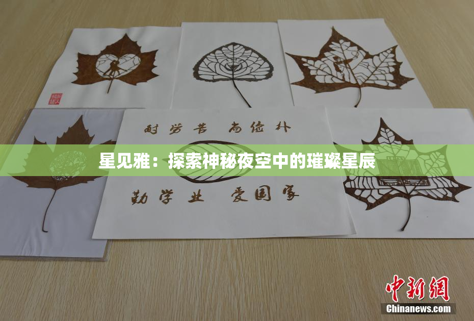 星见雅：探索神秘夜空中的璀璨星辰