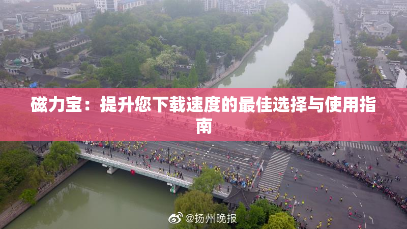 磁力宝：提升您下载速度的最佳选择与使用指南