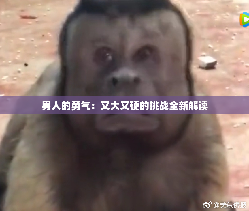 男人的勇气：又大又硬的挑战全新解读