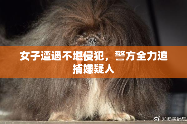 女子遭遇不堪侵犯，警方全力追捕嫌疑人