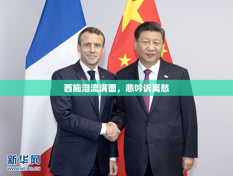 西施泪流满面，悲吟诉离愁