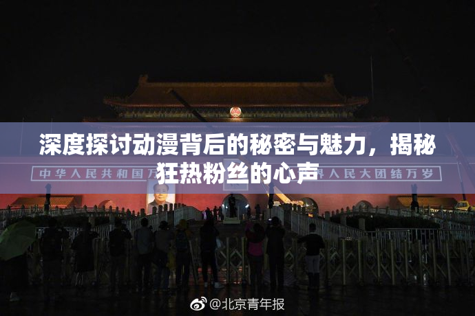 深度探讨动漫背后的秘密与魅力，揭秘狂热粉丝的心声