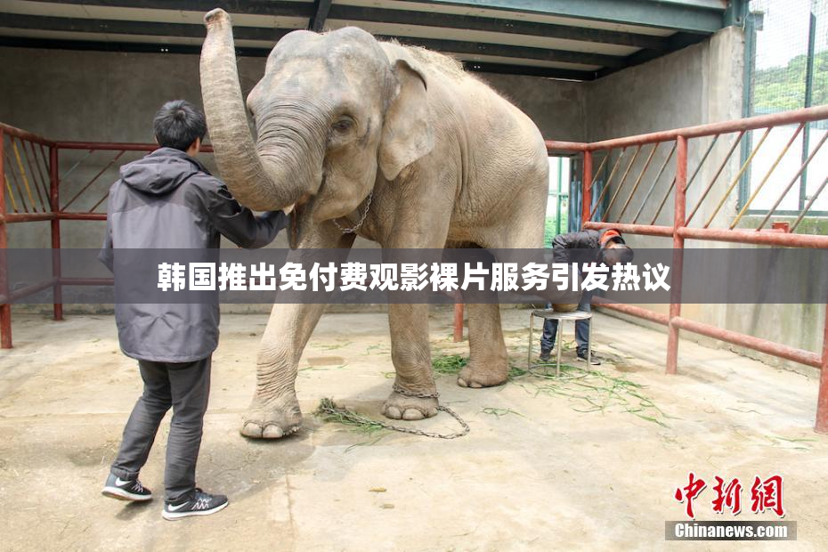 韩国推出免付费观影裸片服务引发热议