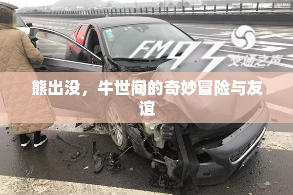 熊出没，牛世间的奇妙冒险与友谊
