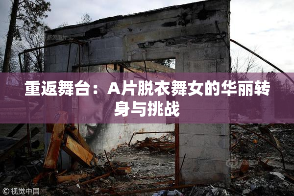 重返舞台：A片脱衣舞女的华丽转身与挑战