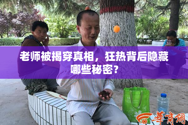 老师被揭穿真相，狂热背后隐藏哪些秘密？