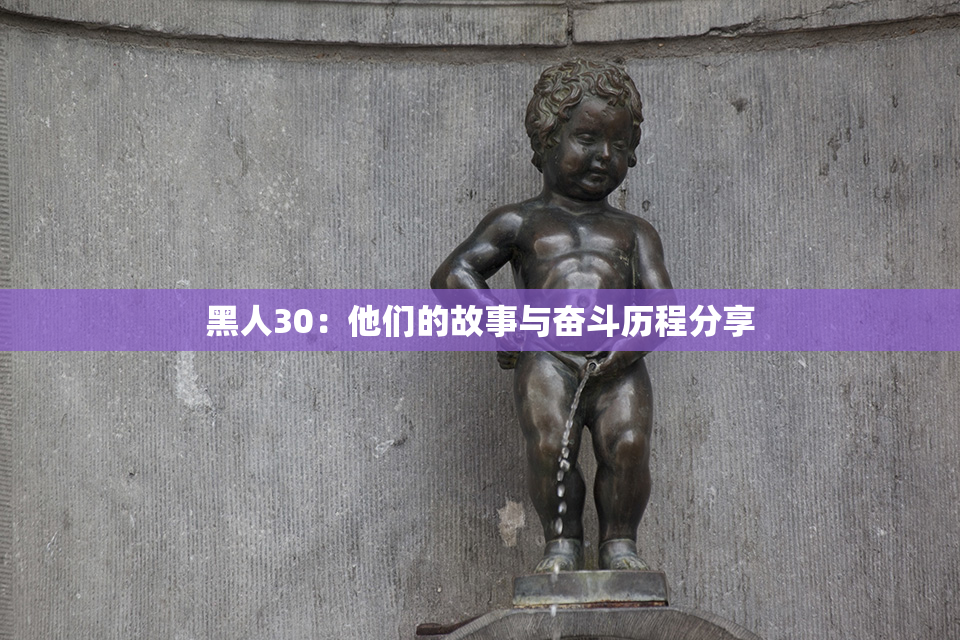 黑人30：他们的故事与奋斗历程分享