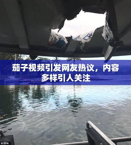 茄子视频引发网友热议，内容多样引人关注