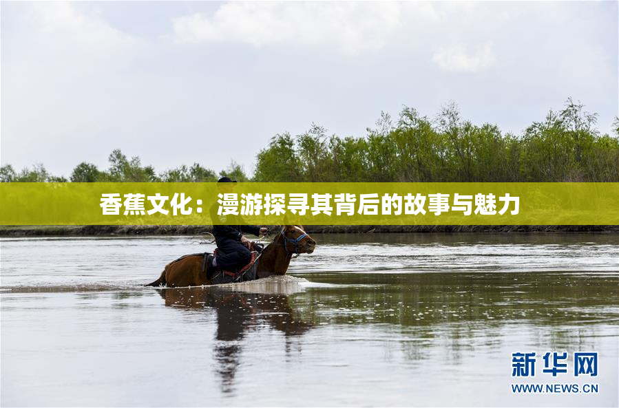 香蕉文化：漫游探寻其背后的故事与魅力