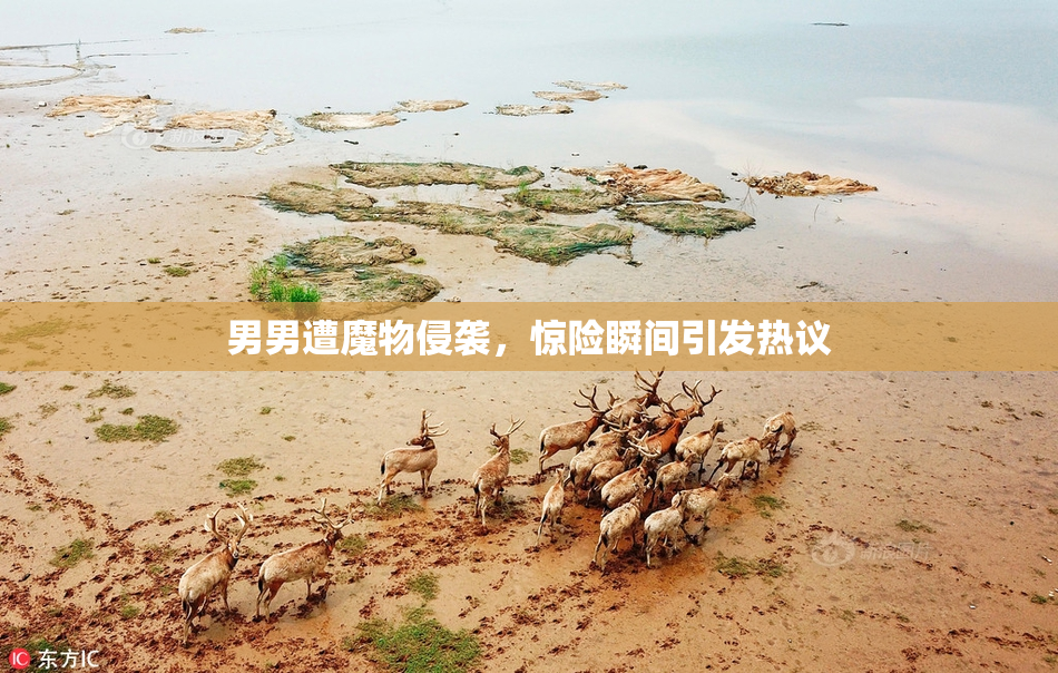 男男遭魔物侵袭，惊险瞬间引发热议