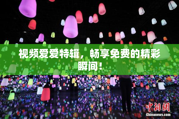 视频爱爱特辑，畅享免费的精彩瞬间！