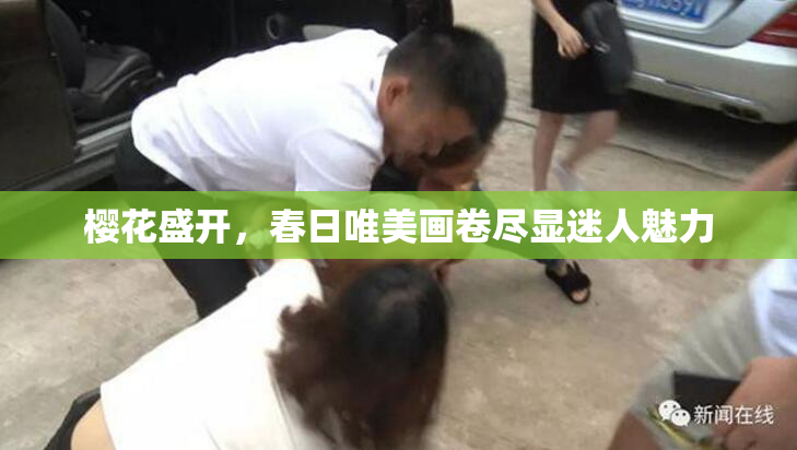 樱花盛开，春日唯美画卷尽显迷人魅力