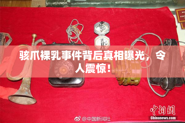 骇爪裸乳事件背后真相曝光，令人震惊！