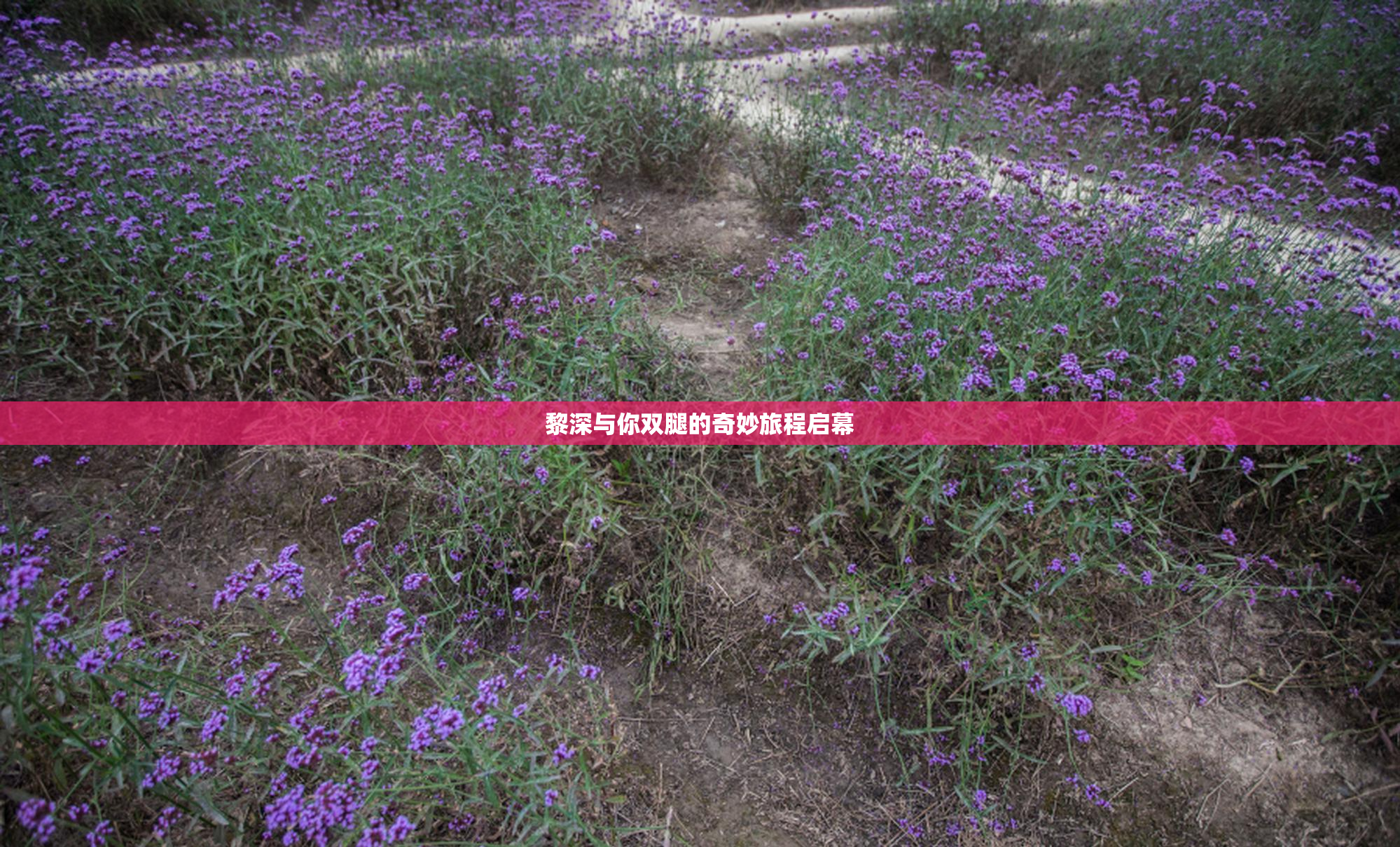 黎深与你双腿的奇妙旅程启幕