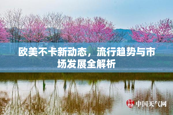 欧美不卡新动态，流行趋势与市场发展全解析