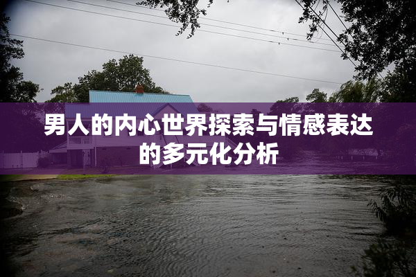 男人的内心世界探索与情感表达的多元化分析