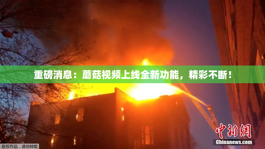 重磅消息：蘑菇视频上线全新功能，精彩不断！