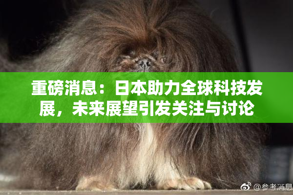 重磅消息：日本助力全球科技发展，未来展望引发关注与讨论