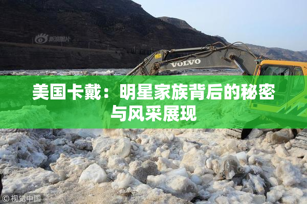 美国卡戴：明星家族背后的秘密与风采展现