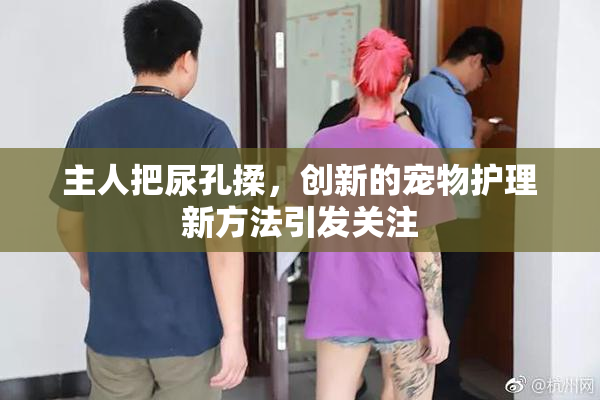 主人把尿孔揉，创新的宠物护理新方法引发关注