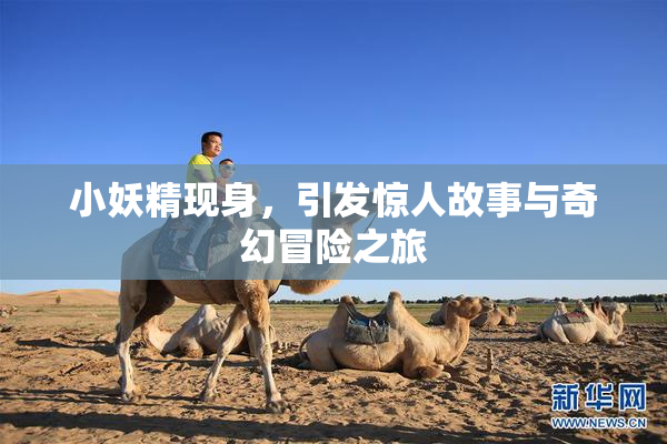 小妖精现身，引发惊人故事与奇幻冒险之旅