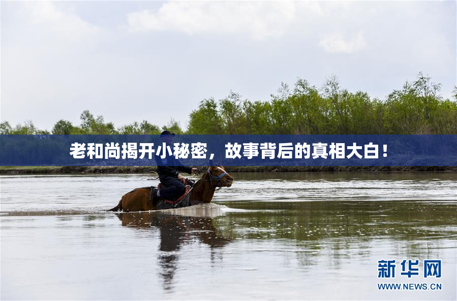 老和尚揭开小秘密，故事背后的真相大白！