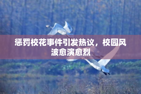 惩罚校花事件引发热议，校园风波愈演愈烈