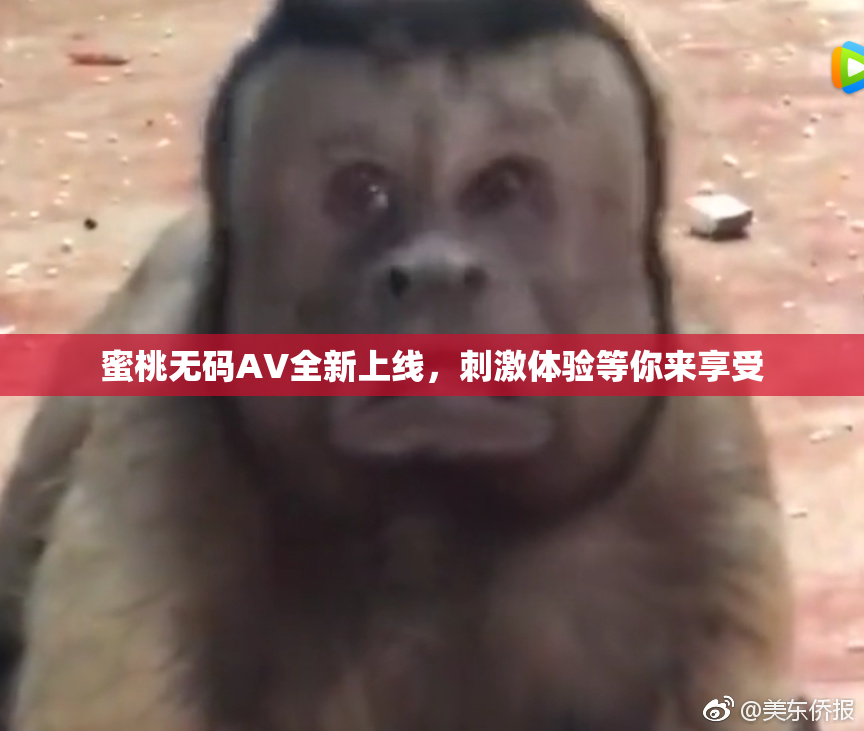 蜜桃无码AV全新上线，刺激体验等你来享受