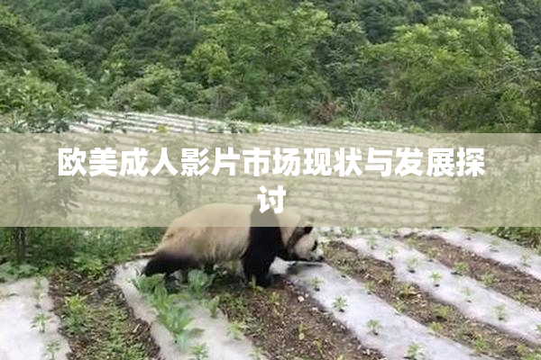 欧美成人影片市场现状与发展探讨