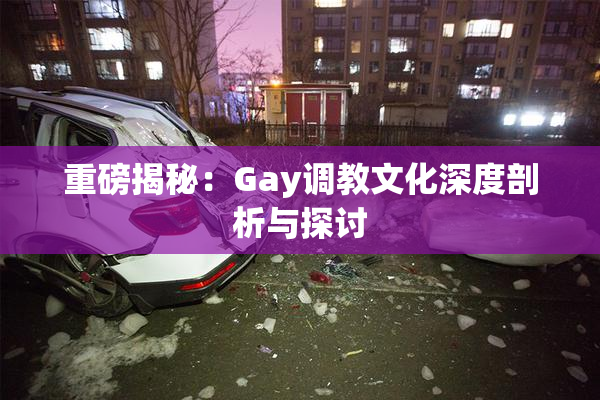 重磅揭秘：Gay调教文化深度剖析与探讨