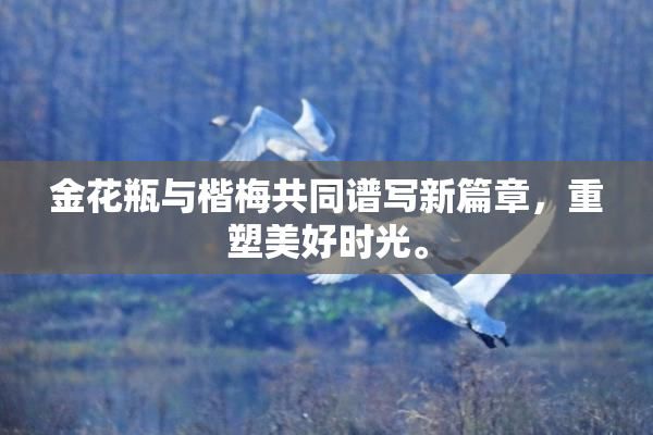 金花瓶与楷梅共同谱写新篇章，重塑美好时光。