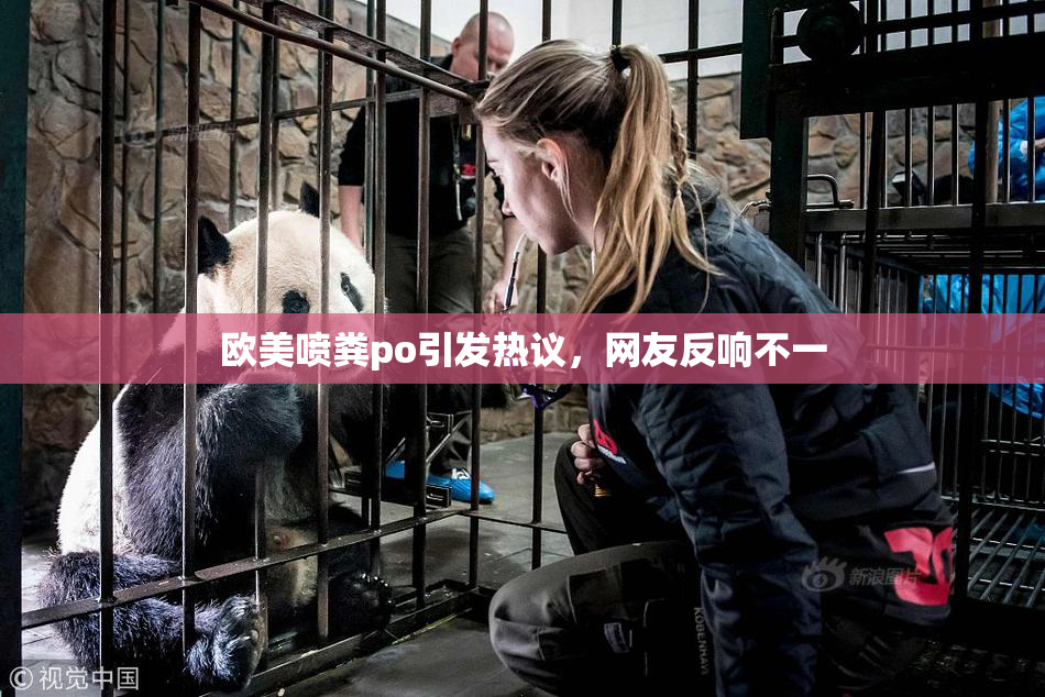 欧美喷粪po引发热议，网友反响不一