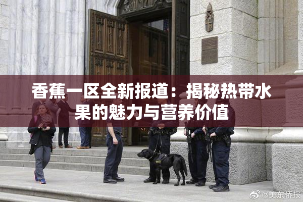 香蕉一区全新报道：揭秘热带水果的魅力与营养价值