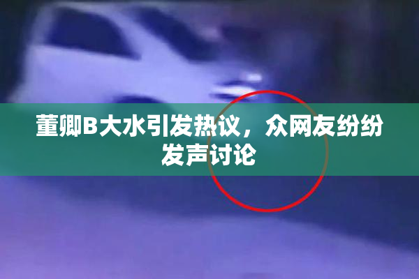 董卿B大水引发热议，众网友纷纷发声讨论
