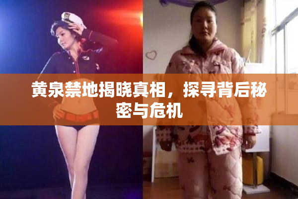 黄泉禁地揭晓真相，探寻背后秘密与危机