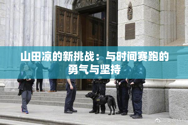 山田凉的新挑战：与时间赛跑的勇气与坚持