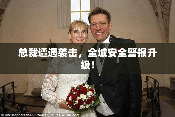 总裁遭遇袭击，全城安全警报升级！