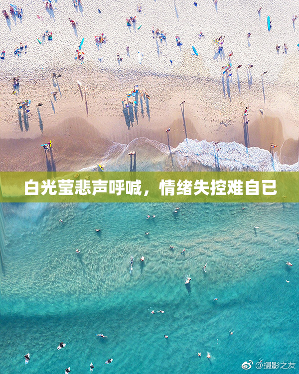 白光莹悲声呼喊，情绪失控难自已