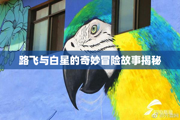 路飞与白星的奇妙冒险故事揭秘